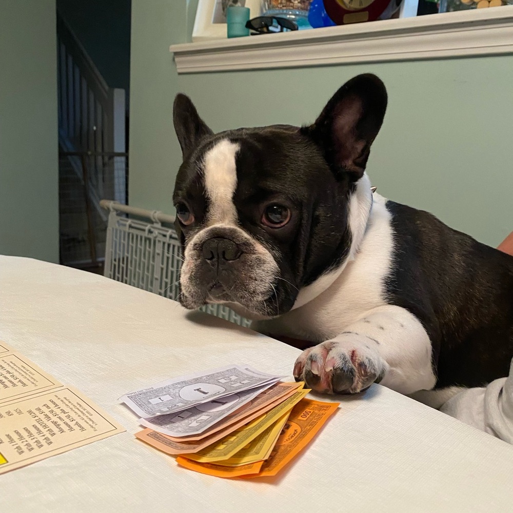 Meet your Posher, Scott